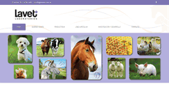 Desktop Screenshot of lavetsrl.com.ar